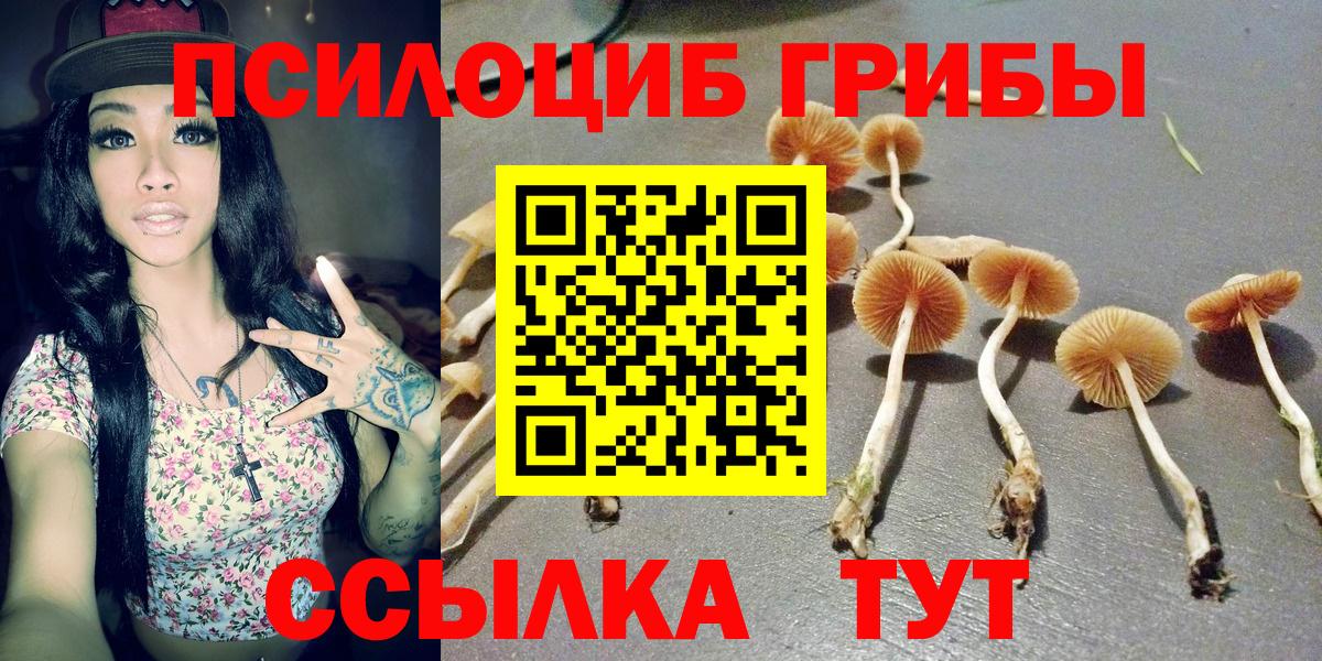 Псилоцибиновые грибы мухоморы  Вход с VPN  Таганрог  где купить наркотик  Галлюциногенные грибы прущие грибы 